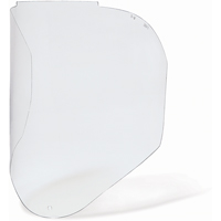 Visi&egrave;res de Rechange Bionic, Polycarbonate, Teinte Transparent Southpoint Industrial Supply