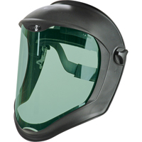Visi&egrave;res de Rechange Bionic, Polycarbonate, Teinte 3,0 Southpoint Industrial Supply