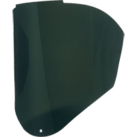 Visi&egrave;res de Rechange Bionic, Polycarbonate, Teinte 5,0 Southpoint Industrial Supply