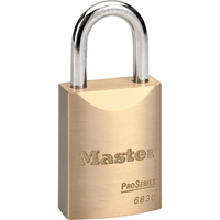 ProSeries&reg; Padlock, Silver, Keyed Different, Brass Coating, 1-9/16" Width Southpoint Industrial Supply
