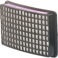 Speedglas Respiratory Protection-replacement Filters & Cartridges, P100 Filter, Pack of 2 Southpoint Industrial Supply