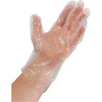 Disposable Gloves, Medium, Polyethylene, 0.02-mil, Powdered, Clear SAN741 | Southpoint Industrial Supply
