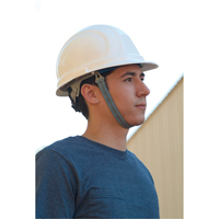 Mentonni&egrave;re pour casque de s&eacute;curit&eacute; ERB Southpoint Industrial Supply