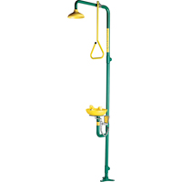 Safe-T-Zone<sup>®</sup> Combination Shower & Eye/Face Wash SD547 | Southpoint Industrial Supply