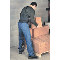 Bodybelt, Elastic, Small Southpoint Industrial Supply