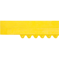 Rampe de bordure pour tapis Southpoint Industrial Supply