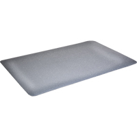 Tapis antimicrobiens WD Foodmaster, Lisse, 3' x 4' x 9/16", Gris, Mousse de vinyle Southpoint Industrial Supply