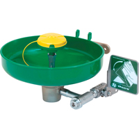 Axion&reg; Eye/Face Wash Station, Wall-Mount Installation, Plastic Bowl Southpoint Industrial Supply