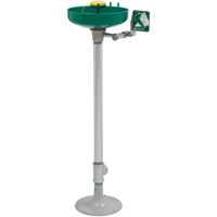 Axion&reg; Eye/Face Wash Station, Pedestal Installation, Plastic Bowl Southpoint Industrial Supply