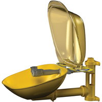 Poste de douche oculaire Halo, Installation Montage mural, Bol Plastique Southpoint Industrial Supply