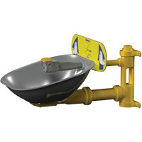 Poste de douche oculaire Halo, Installation Montage mural, Bol Acier inoxydable Southpoint Industrial Supply