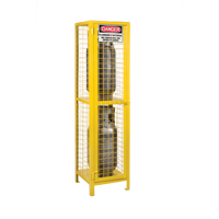 Gas Cylinder Cabinets, 2 Cylinder Capacity, 17" W x 17" D x 69" H, Yellow Southpoint Industrial Supply