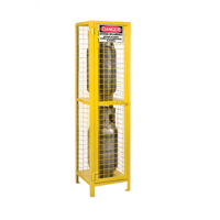 Gas Cylinder Cabinets, 2 Cylinder Capacity, 17" W x 17" D x 69" H, Yellow SEB838 | Southpoint Industrial Supply