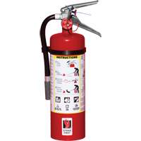 Fire Extinguisher, ABC, 5 lbs. Capacity SED109 | Southpoint Industrial Supply