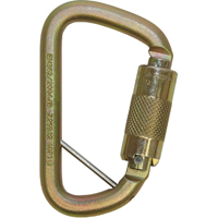 Rollgliss™ Technical Rescue Offset D Fall Arrest Carabiner, Steel, 3600 lbs Capacity SEH168 | Southpoint Industrial Supply