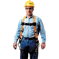 Harnais non extensible Miller Titan II, Certifi&eacute;e CSA, Classe AP, Moyen, Cap. 400 lb Southpoint Industrial Supply