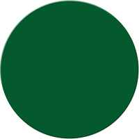Armor Stripe Lean/5S Markers, Circle, 6" L x 6" W, Green, Plastic Southpoint Industrial Supply