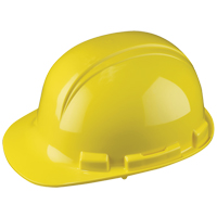 North&reg; Whistler Hardhat, Meets CSA Type 1, Pinlock Suspension, Non-Vented Southpoint Industrial Supply
