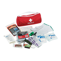 Trousse de premiers soins pour auto Dynamic, Dispositif m&eacute;dical Classe 1, Sac en nylon Southpoint Industrial Supply