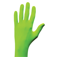 Gants N-Dex, Petit, Nitrile, 5 mils, Sans poudre, Vert Southpoint Industrial Supply