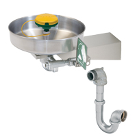 Axion<sup>®</sup> Eye/Face Wash Station, Wall-Mount Installation, Stainless Steel Bowl SGC270 | Southpoint Industrial Supply