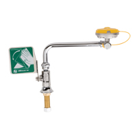 Eye/Face Wash Station, Sink Mount Installation SGC272 | Southpoint Industrial Supply