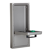 Eye/Face Wash Station, Wall-Mount Installation SGC274 | Southpoint Industrial Supply