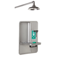 Eye/Face Wash and Shower, Ceiling-Mount SGC296 | Southpoint Industrial Supply