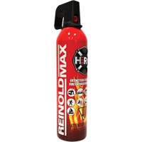 Fire Extinguisher, ABC/K, 2 lbs. Capacity SGC461 | Southpoint Industrial Supply