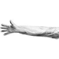 Disposable Gloves, Large, Polyethylene, 9-mil, Powdered, Clear SGF113 | Southpoint Industrial Supply