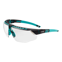 Safety Eyewear & Accessories