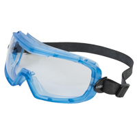 Uvex&reg; Entity Safety Goggles, Clear Lens, Anti-Fog, Indirect Vent Southpoint Industrial Supply