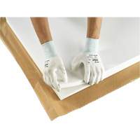 PX140 Coated Gloves, 6/X-Small, Polyurethane Coating, 15 Gauge, Nylon Shell Southpoint Industrial Supply