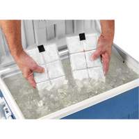 Sachets pour veste de refroidissement &agrave; changement de phase 6260 Chill-Its Southpoint Industrial Supply