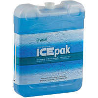 Ice-Pak™ IP-200 Reusable Transport Ice Pack SGT457 | Southpoint Industrial Supply