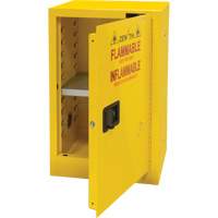 Flammable Storage Cabinet, 12 gal., 1 Door, 23" W x 35" H x 18" D SGU463 | Southpoint Industrial Supply