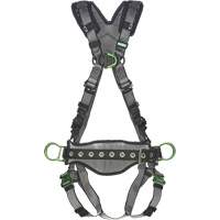 Full Body Harnesses