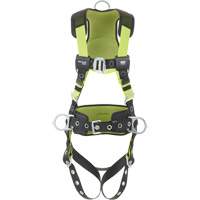 Fall Arrest Harnesses