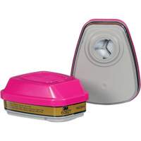 Cartouche, Combinaison cartouche et filtre contre les particules pour gaz/vapeurs, Gaz multiples/Vapeurs/P100 Southpoint Industrial Supply