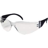 CeeTec Safety Glasses, Clear Lens, Anti-Fog/Anti-Scratch, Meets/Exceeds CSA Z94.3 Southpoint Industrial Supply