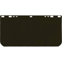 Visi&egrave;re Valuguard, Polycarbonate, Teinte Vert Southpoint Industrial Supply