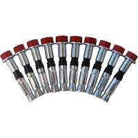 Jeu de boulons de rechange pour ancrages &agrave; anneau en D pour b&eacute;ton, Boulonn&eacute;, Usage Permanent/Temporaire Southpoint Industrial Supply