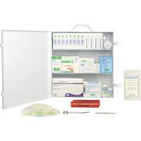First Aid Kit, CSA Type 2 Low-Risk Environment, Large (51-100 Workers), Metal Box SHC215 | Southpoint Industrial Supply