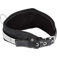 WB-6010-S Safety Restraint 1 D-Ring Belt with Padded Lumbar Support - Small Southpoint Industrial Supply