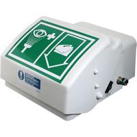 Douche oculaire/faciale, Installation Montage mural, Bol Plastique Southpoint Industrial Supply