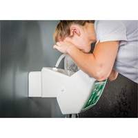 Douche oculaire/faciale, Installation Montage mural, Bol Plastique Southpoint Industrial Supply