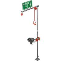 Combination Shower with Open Stainless Steel Bowl & Top Inlet, Pedestal Southpoint Industrial Supply