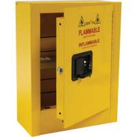 Mini Flammable Safety Cabinet, 2 Gal., 1 Door, 17" W x 22" H x 8" D Southpoint Industrial Supply