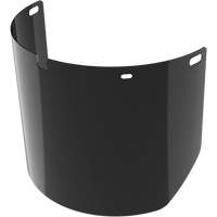 Lentille de rechange pour visi&egrave;re compl&egrave;te sans rev&ecirc;tement, Polycarbonate, Teinte 5,0 Southpoint Industrial Supply