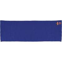 Serviette de refroidissement ignifuge 6606FR Chill-Its, Bleu Southpoint Industrial Supply